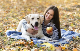 Escovar os dentes não é tudo! Estes são os 7 alimentos que ajudam a manter os dentes do seu cão limpos