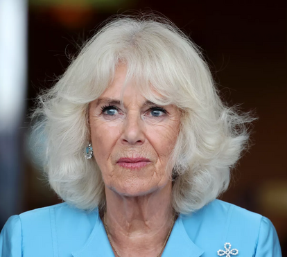 Por onde anda Carlos III? Camilla surpreende ao aparecer feliz ao lado do ex-marido