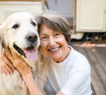 Procura um melhor amigo? Estas são as 5 raças de cães mais amigáveis do mundo