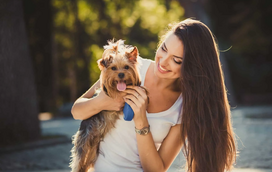Nunca teve um patudo? Conheça as 3 raças de cães que são ideais para “principiantes”