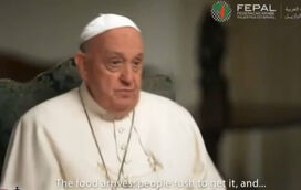 Papa Francisco ligava todos os dias para paróquia em Gaza: "É muito sofrimento"