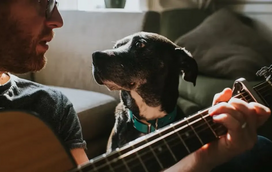Os cães sentem o ritmo da música? A resposta pode surpreender!