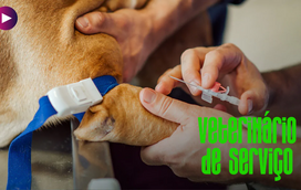 Sabia que a vacinação é um cuidado que deve ter com o patudo ao longo de toda a vida? Não é só na idade jovem!