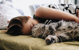 Dormir com o gato: sim ou não? Conheça aqui as vantagens mas também os principais cuidados