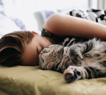 Será mesmo seguro? Saiba o que dizem os especialistas sobre as vantagens e desvantagens de dormir com o seu gato