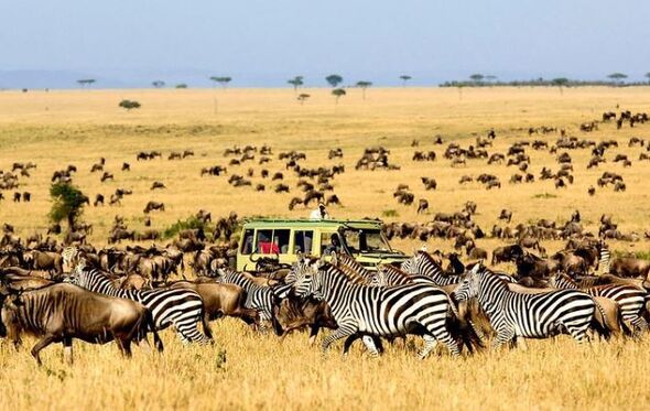 Serengeti, Tanzania