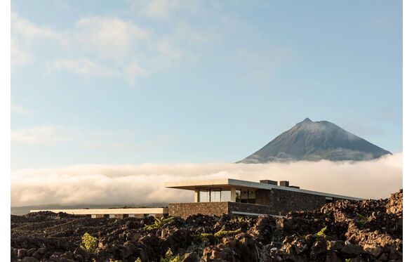 Adega da Azores Wine Company
