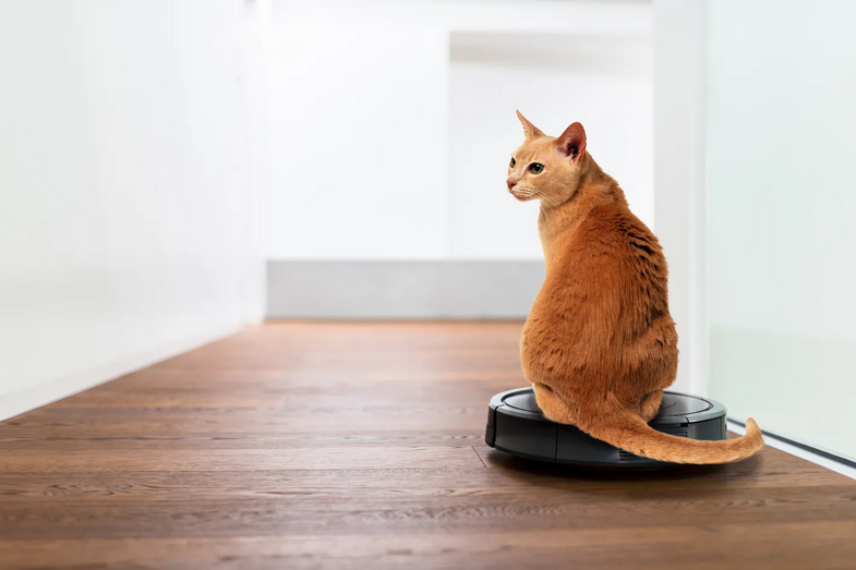 Roomba