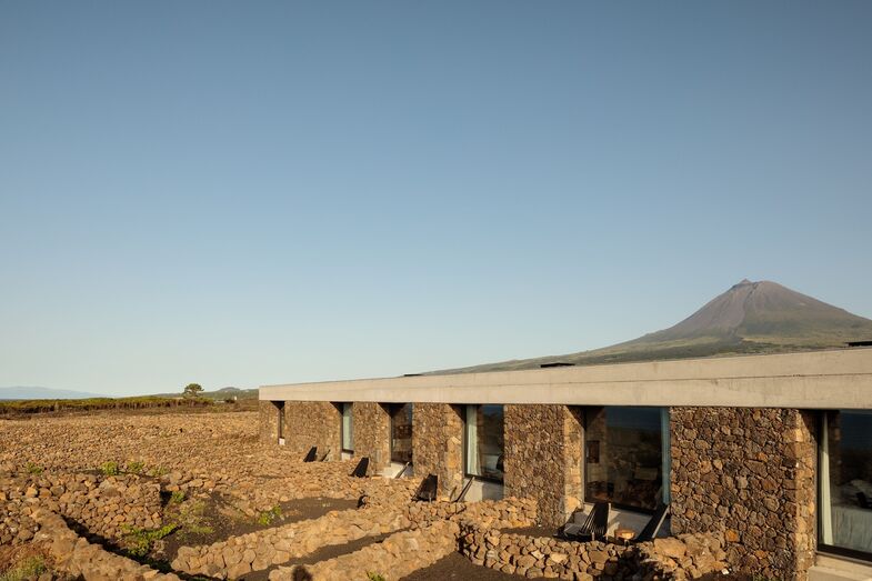 Adega da Azores Wine Company