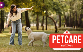 Há muitas formas de se divertir com o patudo! Saiba como inovar nas brincadeiras a dois