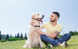 O seu fiel amigo não lhe obedece? Estas são as 6 formas de melhorar a comunicação com o seu patudo!