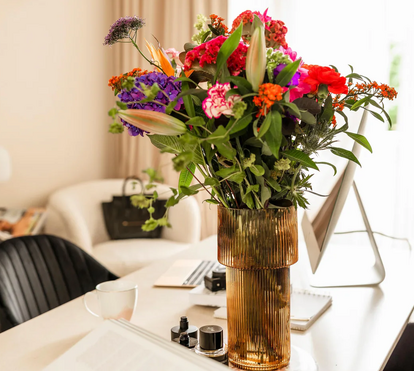 Como incluir as plantas na decoração da sua casa com elegância e estilo