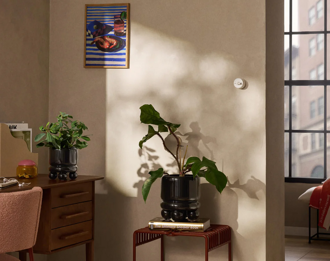 Decoração Westwing