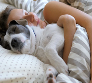 Cão dorme profundamente ao lado do dono, demonstrando laços sociais e apreço pela companhia