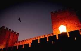 Há morcegos para ver no Castelo de São Jorge, numa visita mística ao cair da noite