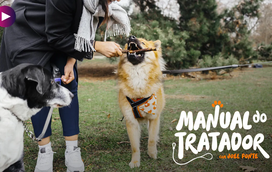 Não feche o seu cão em casa, deixe-o explorar!