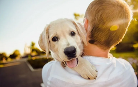 Portugal tem uma ligação especial aos animais! Somos o 2.º país da Europa com mais cães per capita