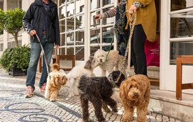Sem planos para os próximos dias? A Feira do Livro de Lisboa é pet friendly e perfeita para passeios em família
