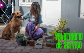 Cuidado com certas plantas que podem ser prejudicais para o Pet!