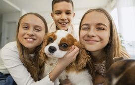 Porque eles merecem: conheça o seguro pensado para animais de estimação