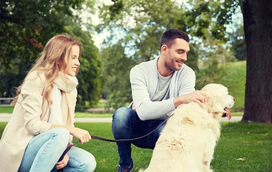 Afinal, o que é a Lagarta do Pinheiro? Conheça os grandes perigos para o seu cão
