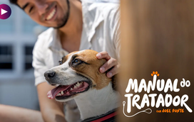 Quer proteger o seu cão? A esterilização é um grande escudo!