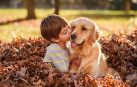 Será que está pronto para adotar um novo amigo? Confira aqui se preenche todos os requisitos para ter um animal de estimação