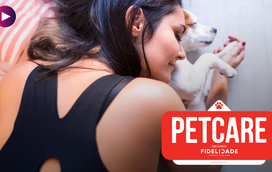 Uma vida completa e feliz para o seu pet? Basta seguir estes passos