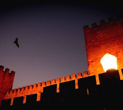 Há morcegos para ver no Castelo de São Jorge, numa visita mística ao cair da noite