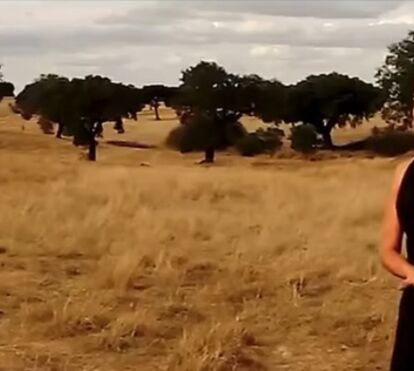 Música, dança e gastronomia: todos os caminhos vão dar a Ferreira do Alentejo para o Festival Giacometti
