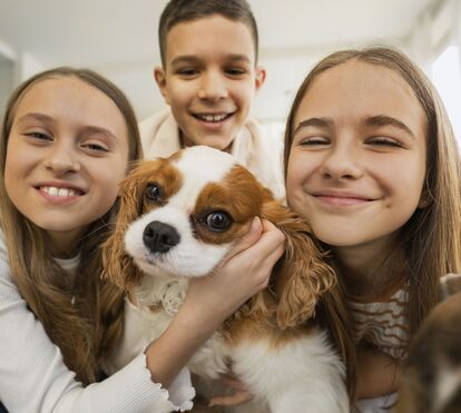 Porque eles merecem: conheça o seguro pensado para animais de estimação