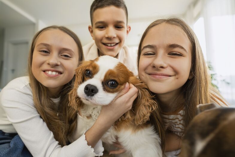 Fidelidade Pets garante saúde, proteção e carinho ao seu animal de estimação