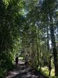 Figo aproveita as férias e mostra paisagens da terra da mulher