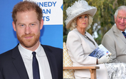 Relação tensa entre Harry, William e Camilla após a morte de Diana