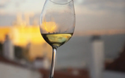 Festival em Lisboa une vinho regional e gastronomia no Campo das Cebolas