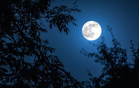 Este é o plano perfeito para passar a primeira lua cheia do verão