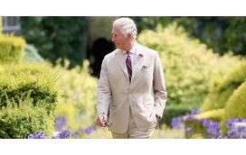 Surpresa: rei Carlos III de Inglaterra entra no milionário negócio dos casamento de luxo