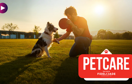 O seu pet passa muito tempo sozinho em casa? Estas são as soluções!