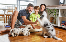 Pouco tempo em casa não tem de ser sinónimo de um pet solitário! Se não sabe o que fazer ao patudo, nós apresentamos-lhe várias soluções