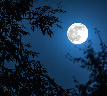 Este é o plano perfeito para passar a primeira lua cheia do verão
