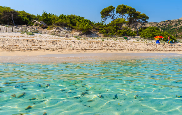Praia da Saleccia, Córsega