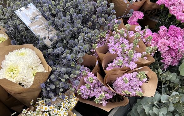 Inês Aguiar partilha flores características da Suécia