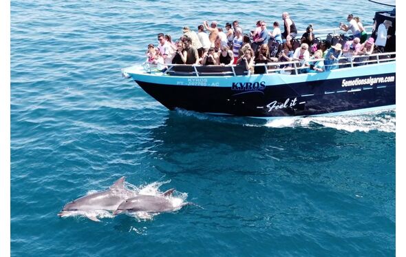 Turistas observam golfinhos no Algarve, durante passeio marítimo