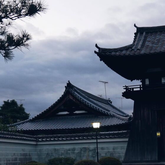 Sara Rocha e Alexandre Poço em lua de mel no Japão após casamento