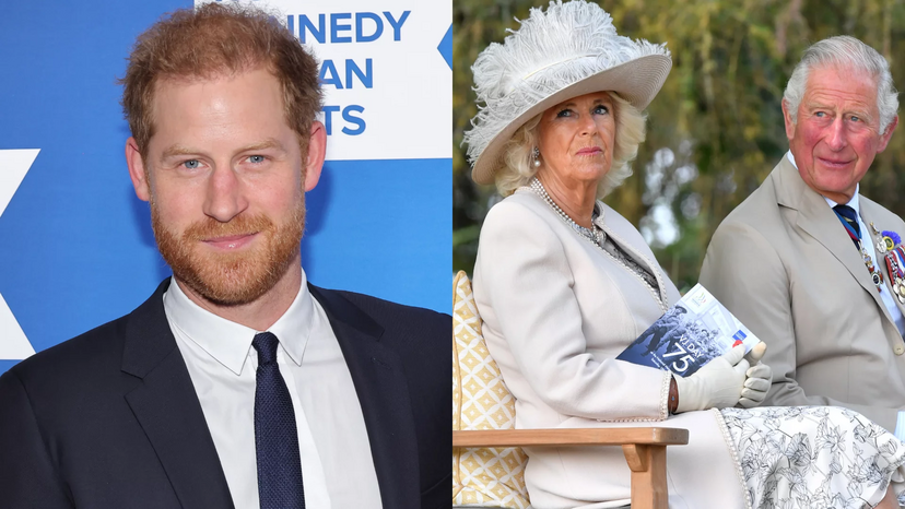 Relação tensa entre Harry, William e Camilla após a morte de Diana
