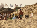 Vasco Palmeirim de férias no Algarve