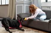 Mulher brinca com o cão, num ambiente de casa