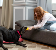 Mulher brinca com o cão, num ambiente de casa