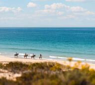 Comporta 