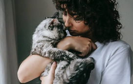 O patudo está com queda anormal de pelo? Atenção, o seu cão ou gato pode estar a sofrer de alopécia. Saiba do que se trata